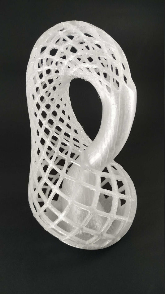 Klein Bottle Vase for Flowers Tho Dimensional Manifold Abstract - 3DEvricPrinting