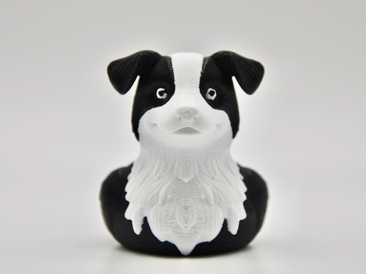 Border Collie Duck 3D Printed Intelligent Herder Figurine