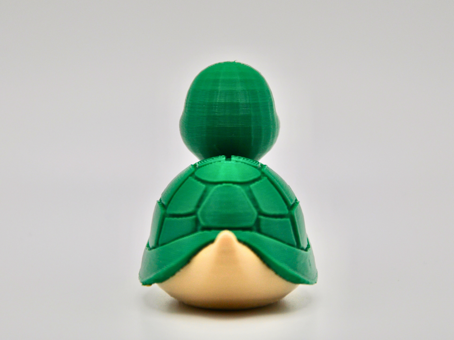 Turtle Duck 3D Printed Shelled Reptile Figurine