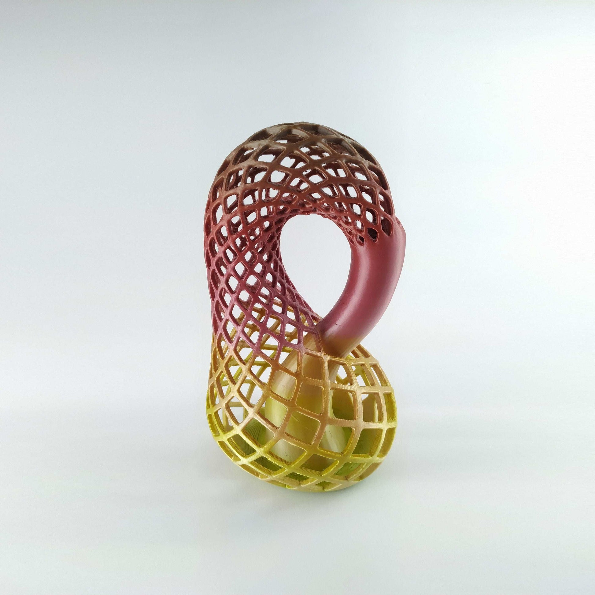 Klein Bottle Vase for Flowers Tho Dimensional Manifold Abstract - 3DEvricPrinting
