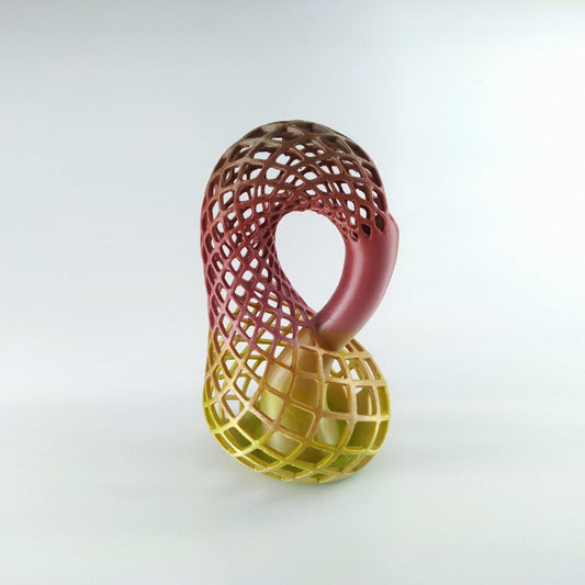 Klein Bottle Vase for Flowers Tho Dimensional Manifold Abstract - 3DEvricPrinting