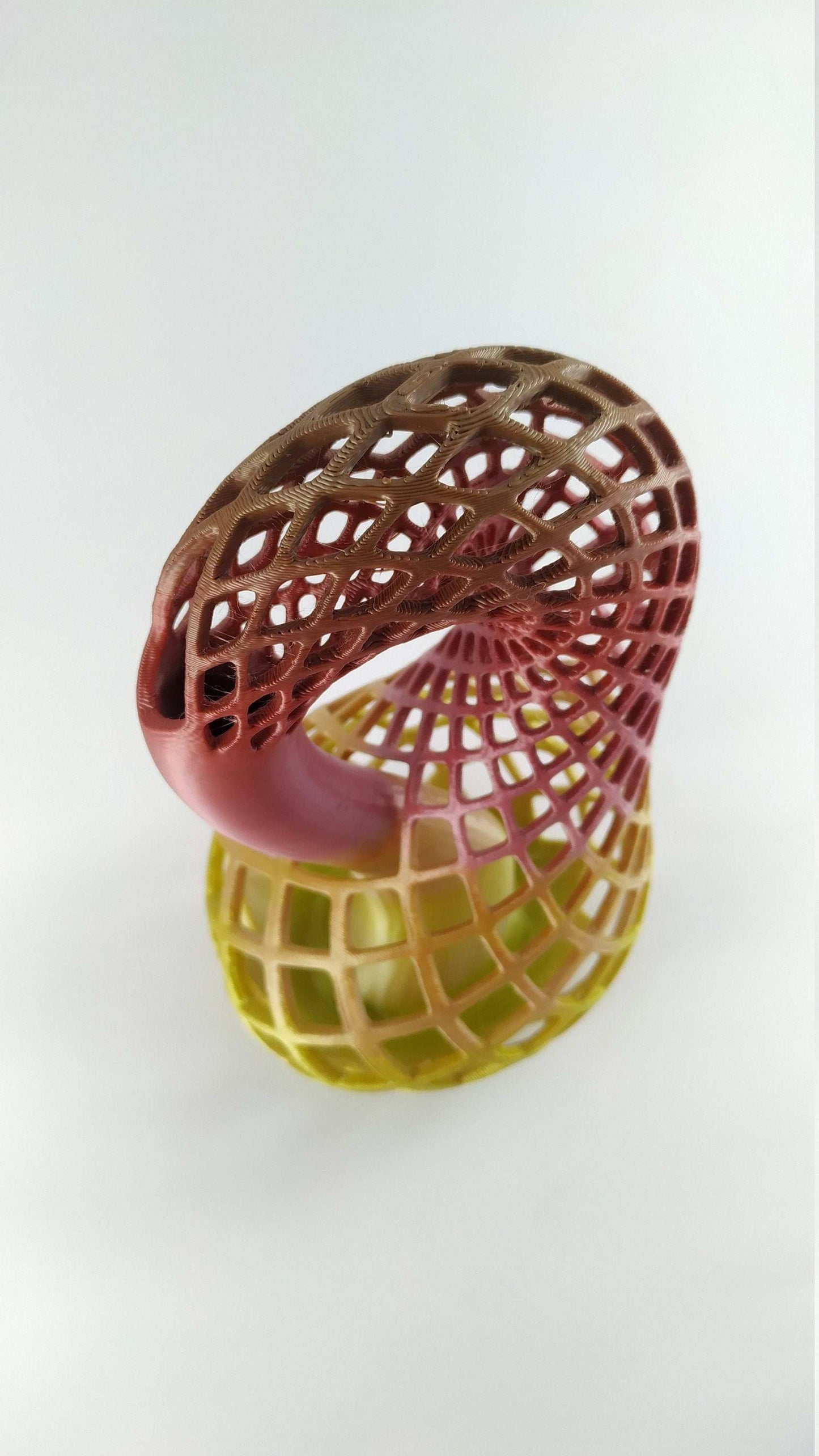 Klein Bottle Vase for Flowers Tho Dimensional Manifold Abstract - 3DEvricPrinting