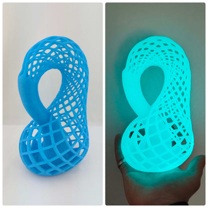 Klein Bottle Vase for Flowers Tho Dimensional Manifold Abstract - 3DEvricPrinting