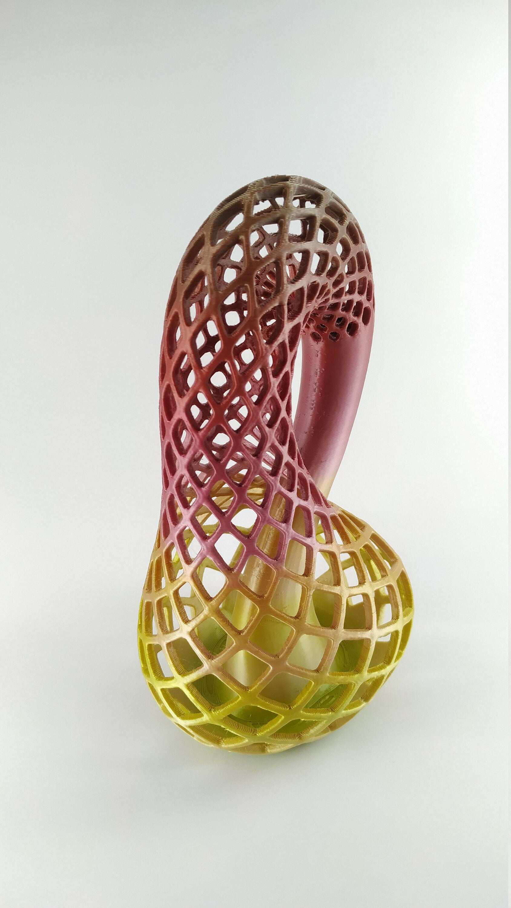 Klein Bottle Vase for Flowers Tho Dimensional Manifold Abstract - 3DEvricPrinting