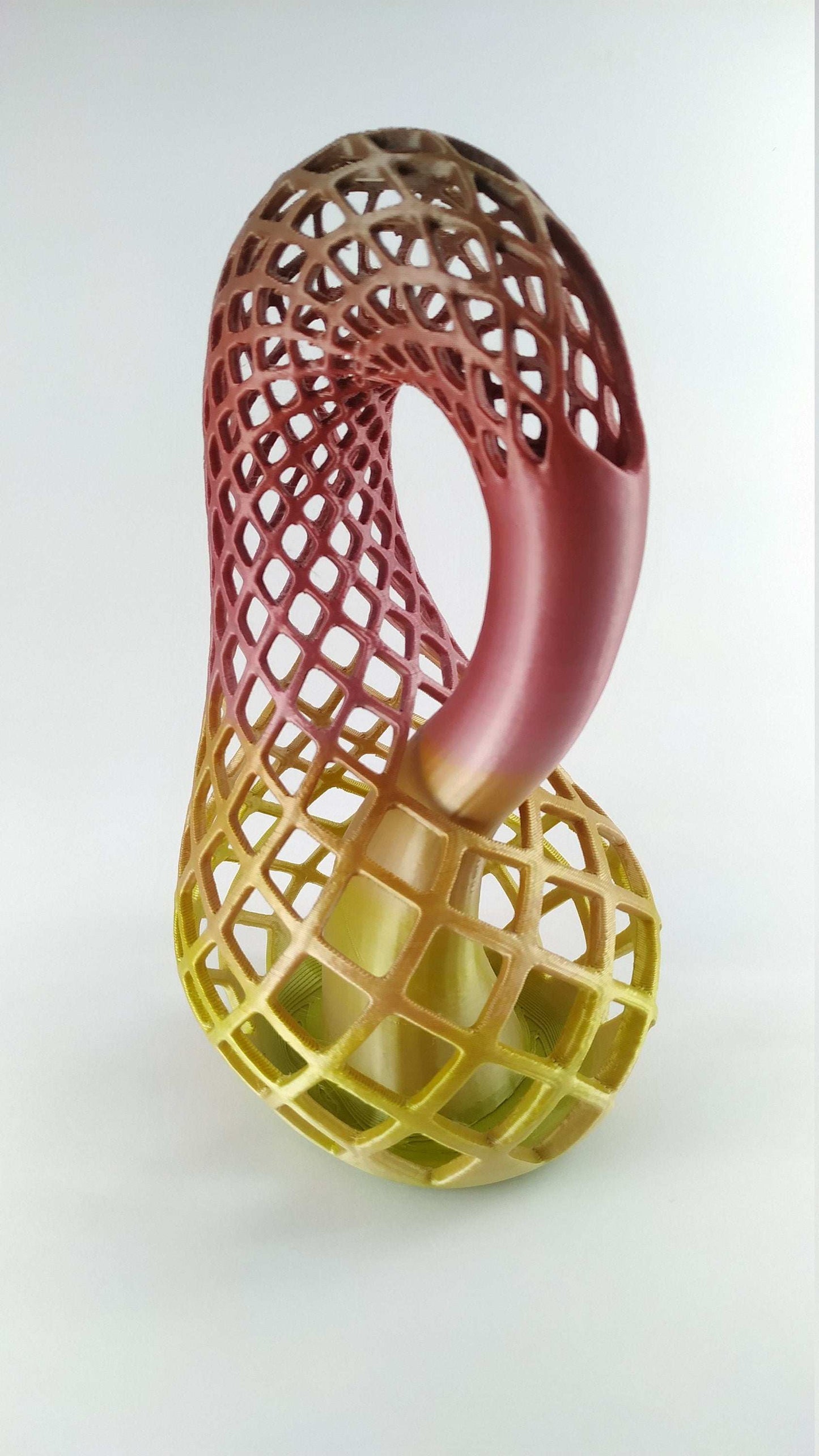 Klein Bottle Vase for Flowers Tho Dimensional Manifold Abstract - 3DEvricPrinting
