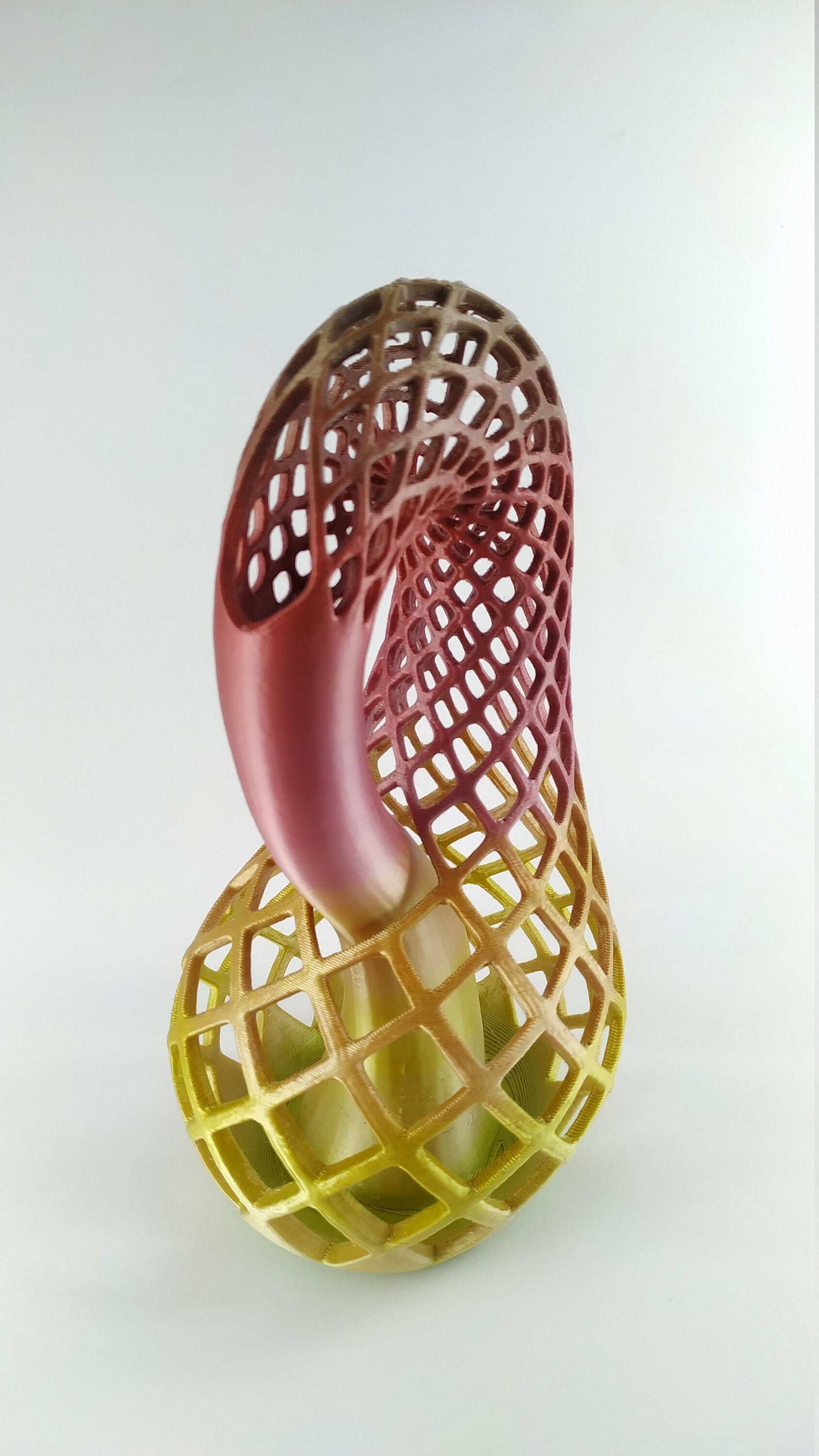 Klein Bottle Vase for Flowers Tho Dimensional Manifold Abstract - 3DEvricPrinting