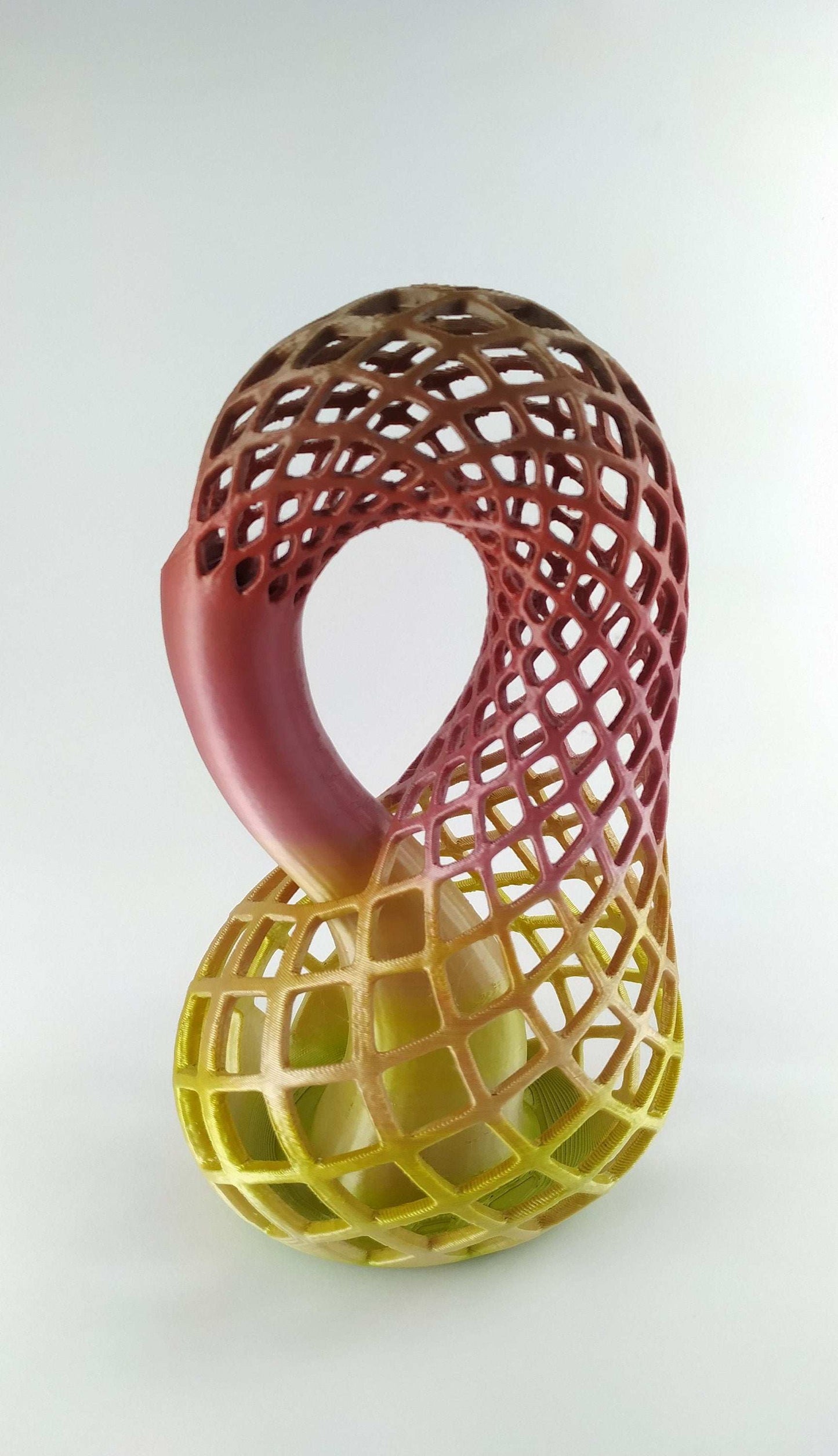 Klein Bottle Vase for Flowers Tho Dimensional Manifold Abstract - 3DEvricPrinting