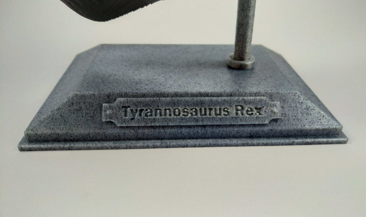T-Rex Dinosaur Realistic Skull with stand 3D printed - 3DEvricPrinting