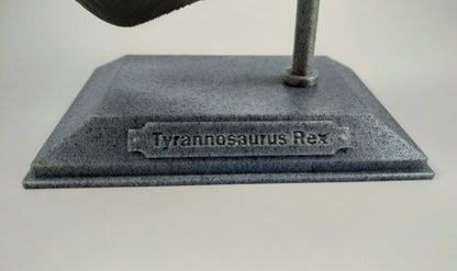 T-Rex Dinosaur Realistic Skull with stand 3D printed - 3DEvricPrinting